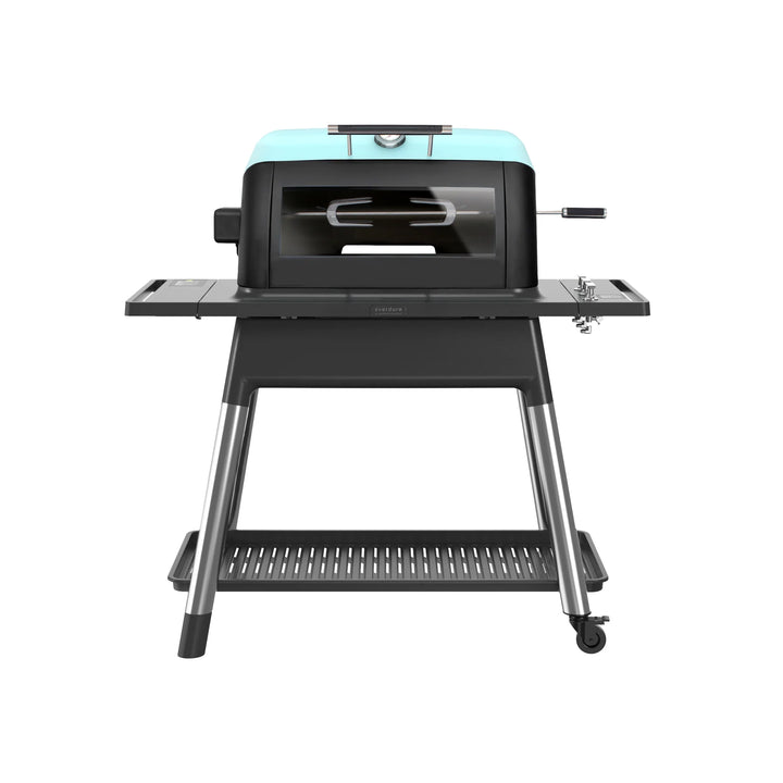 GAS ROTISSERIE KIT